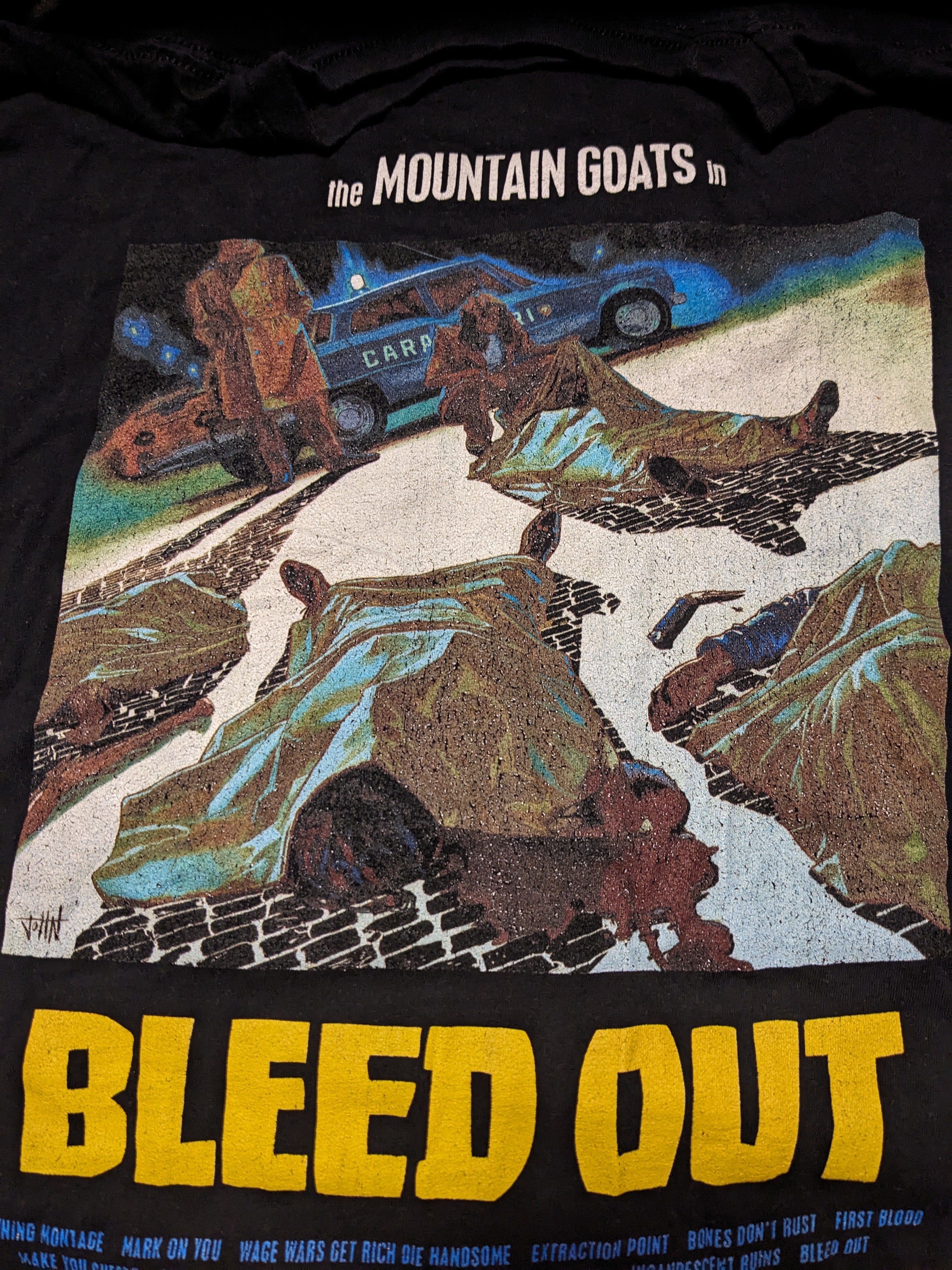 photo of a Mountain Goats t-shirt