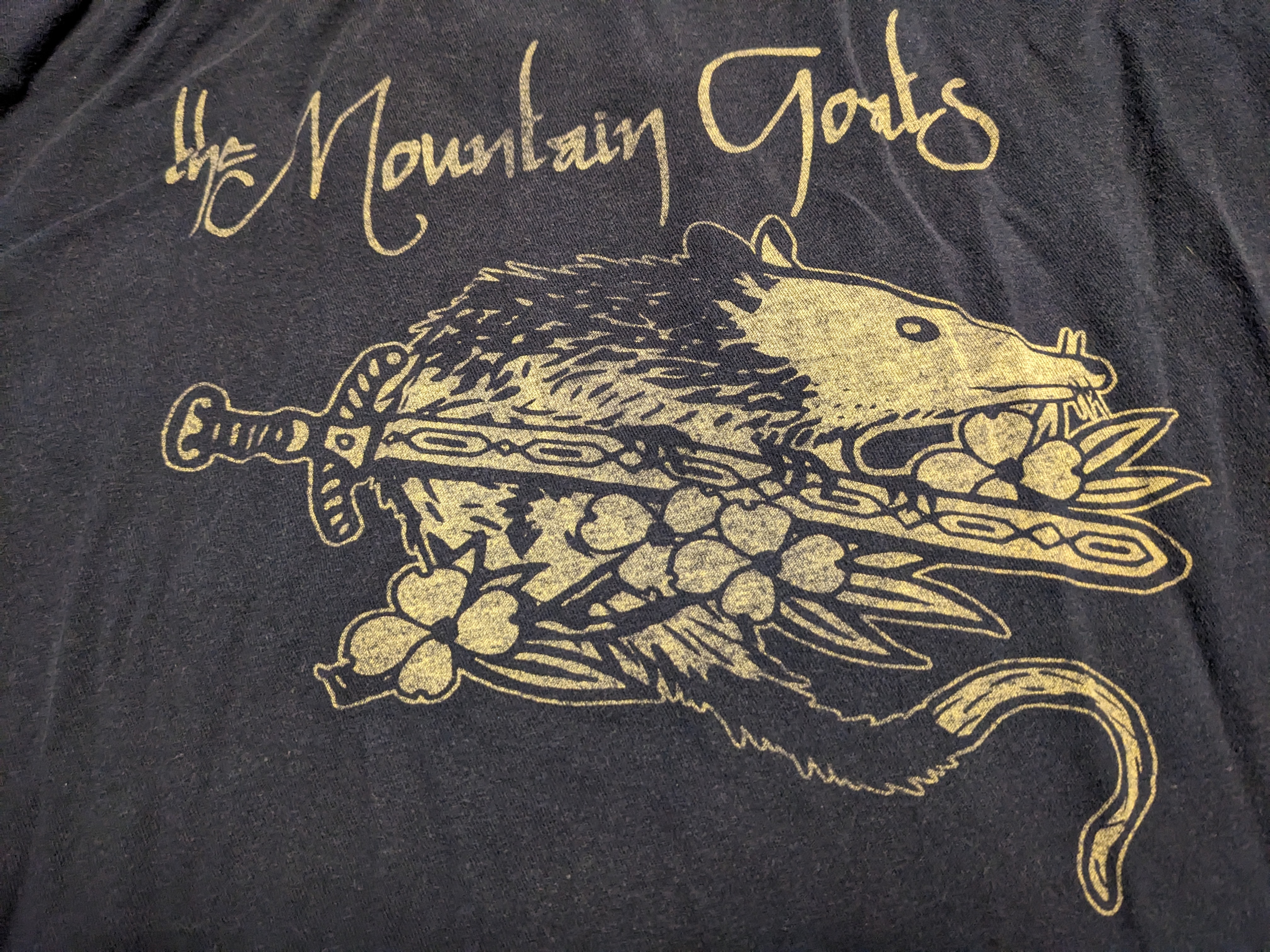 photo of a Mountain Goats t-shirt
